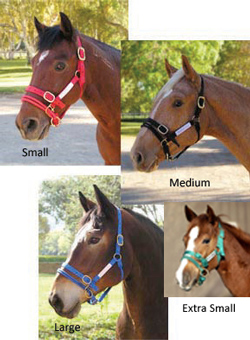 The image “http://www.cotswoldsport.co.uk/Main-Shop/pics/e/mr/dually_collection_large.jpg” cannot be displayed, because it contains errors.