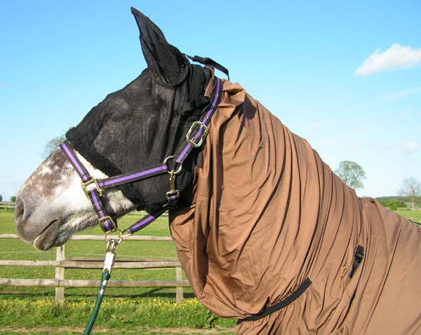 The image �http://www.cotswoldsport.co.uk/Main-Shop/pics/e/wh/ultimate_brn2.jpg� cannot be displayed, because it contains errors.