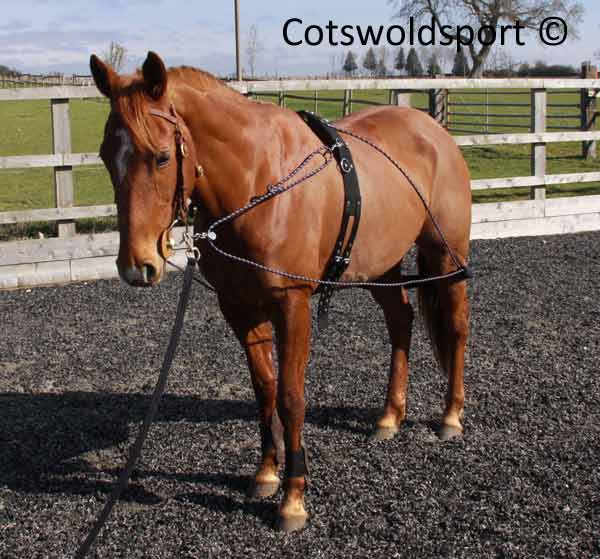 https://www.cotswoldsport.co.uk/Main-Shop/pics/e/ek/Pulley_TrainAid_2.jpg