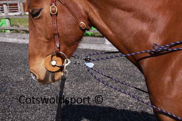 https://www.cotswoldsport.co.uk/Main-Shop/pics/e/ek/Pulley_TrainAid_3.jpg