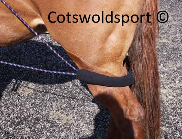 https://www.cotswoldsport.co.uk/Main-Shop/pics/e/ek/Pulley_TrainAid_4.jpg