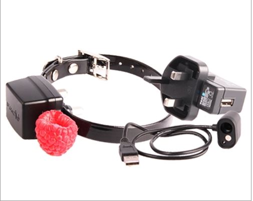Pac Fence F8C Miniature, Small Dog, Cat Collar with USB Charger